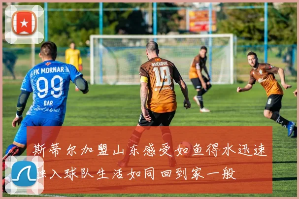 斯蒂尔加盟山东感受如鱼得水迅速融入球队生活如同回到家一般
