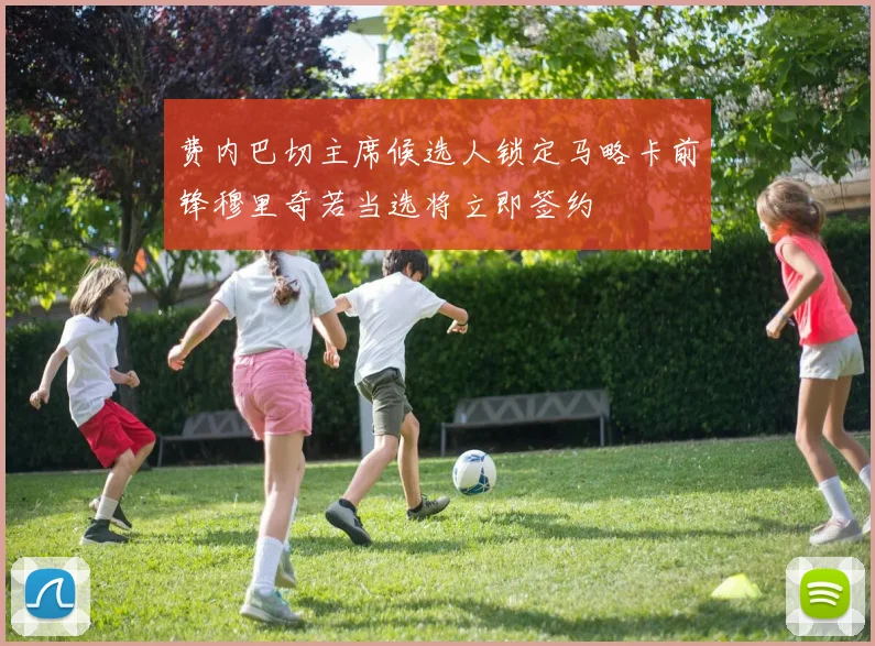 费内巴切主席候选人锁定马略卡前锋穆里奇若当选将立即签约