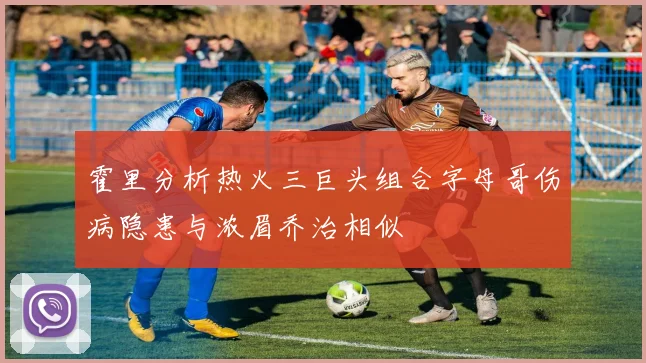 霍里分析热火三巨头组合字母哥伤病隐患与浓眉乔治相似