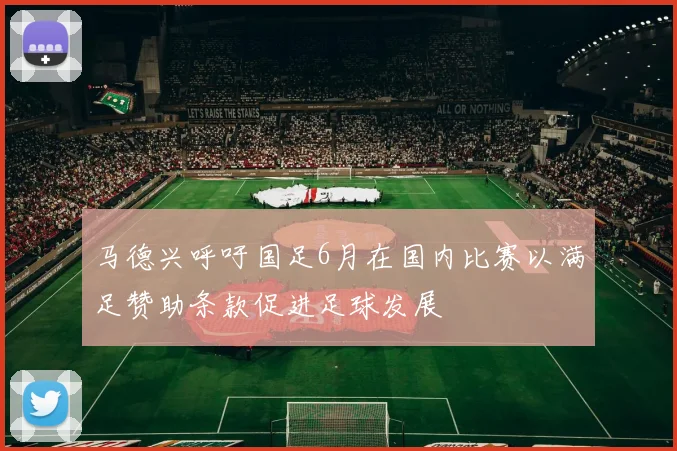 马德兴呼吁国足6月在国内比赛以满足赞助条款促进足球发展