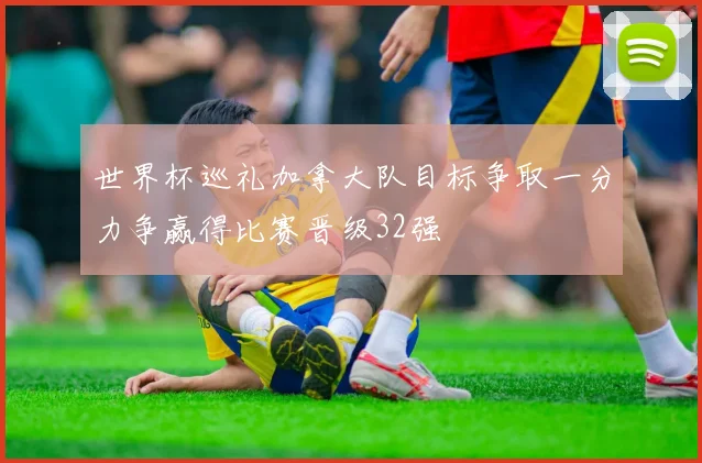 世界杯巡礼加拿大队目标争取一分力争赢得比赛晋级32强